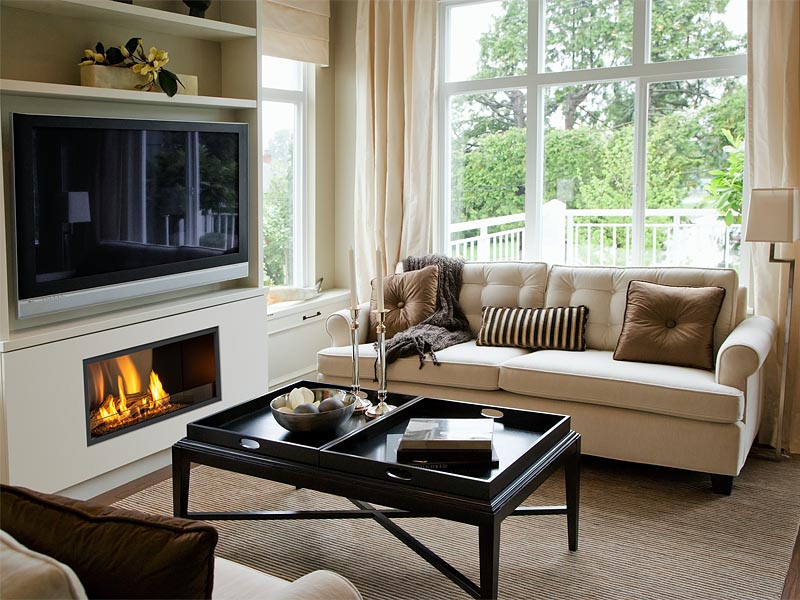 Pure Flame - Ethanol burner insert